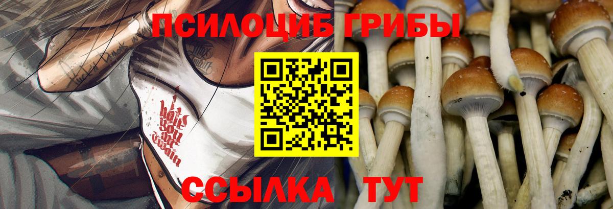 Галлюциногенные грибы прущие грибы Кудрово